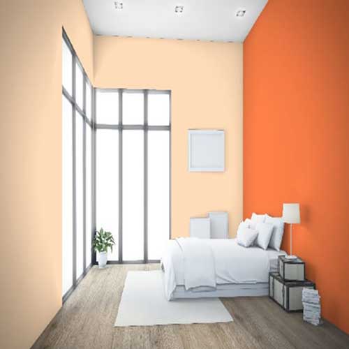 Two Colour Combination For Bedroom Walls And Living Room Walls